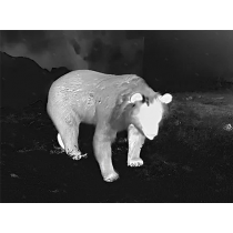 Прицел тепловизионный GUIDE TU431 LRF