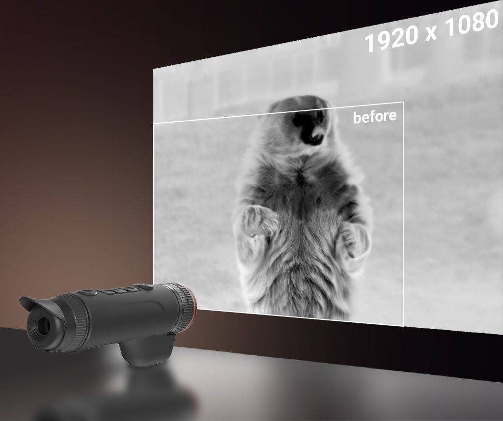 Guide TJLRF Guide TJLRF